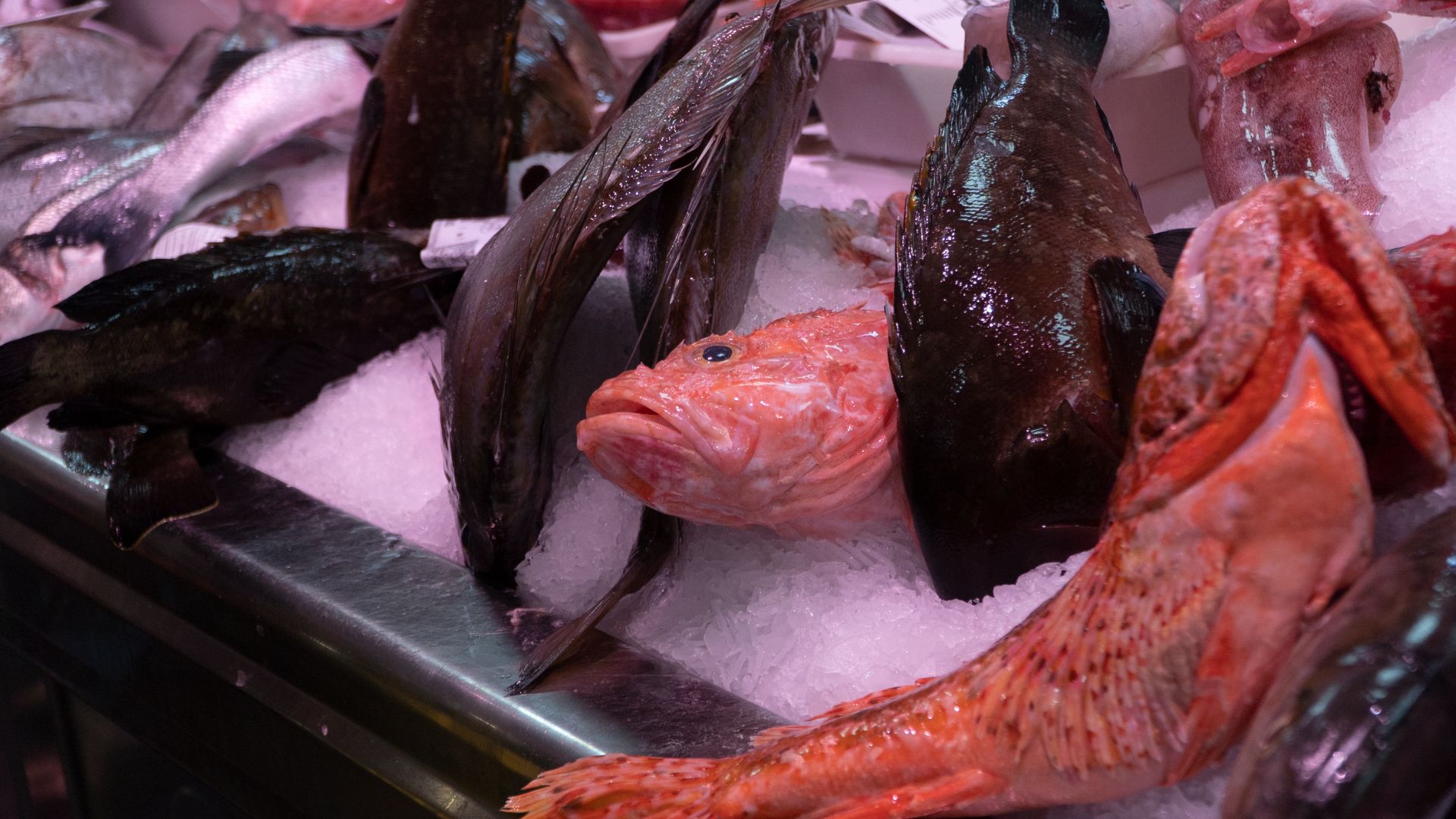 Categoría Pescadería: Pescado fresco sobre hielo, incluyendo cabrachos y merluzas del día.